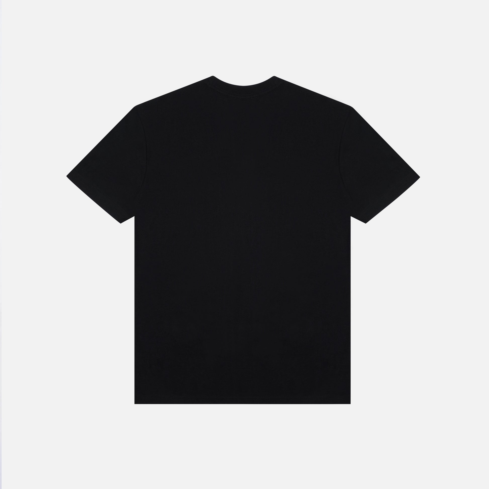 AF810 Black Color CVC Tee Back Detail Photoshoot. Print Ready. Essential Blank T Shirt USA.